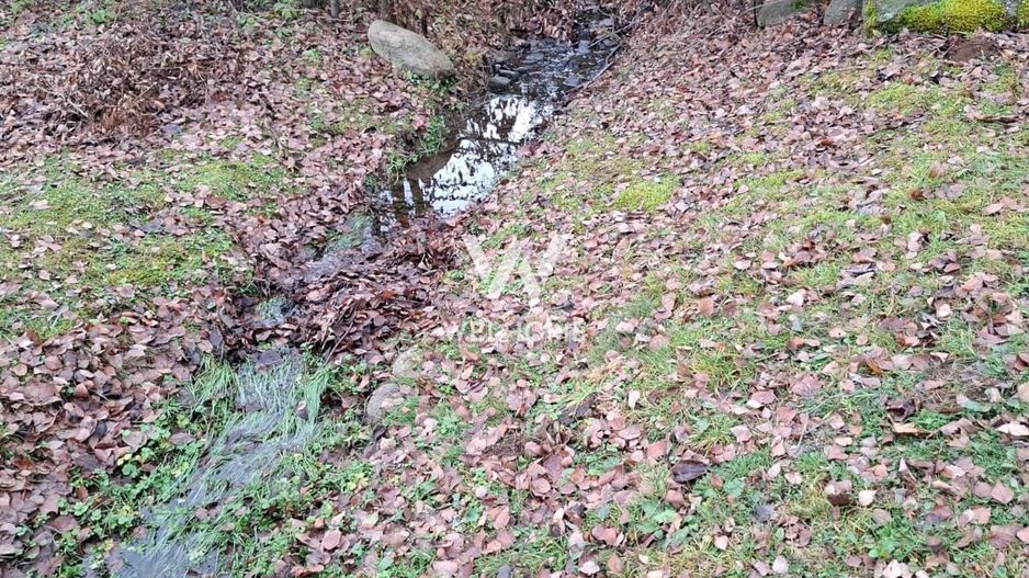 Teren deosebit pozitionat, cu livada, langa padure,  pe Valea Avrigului - Poză 3