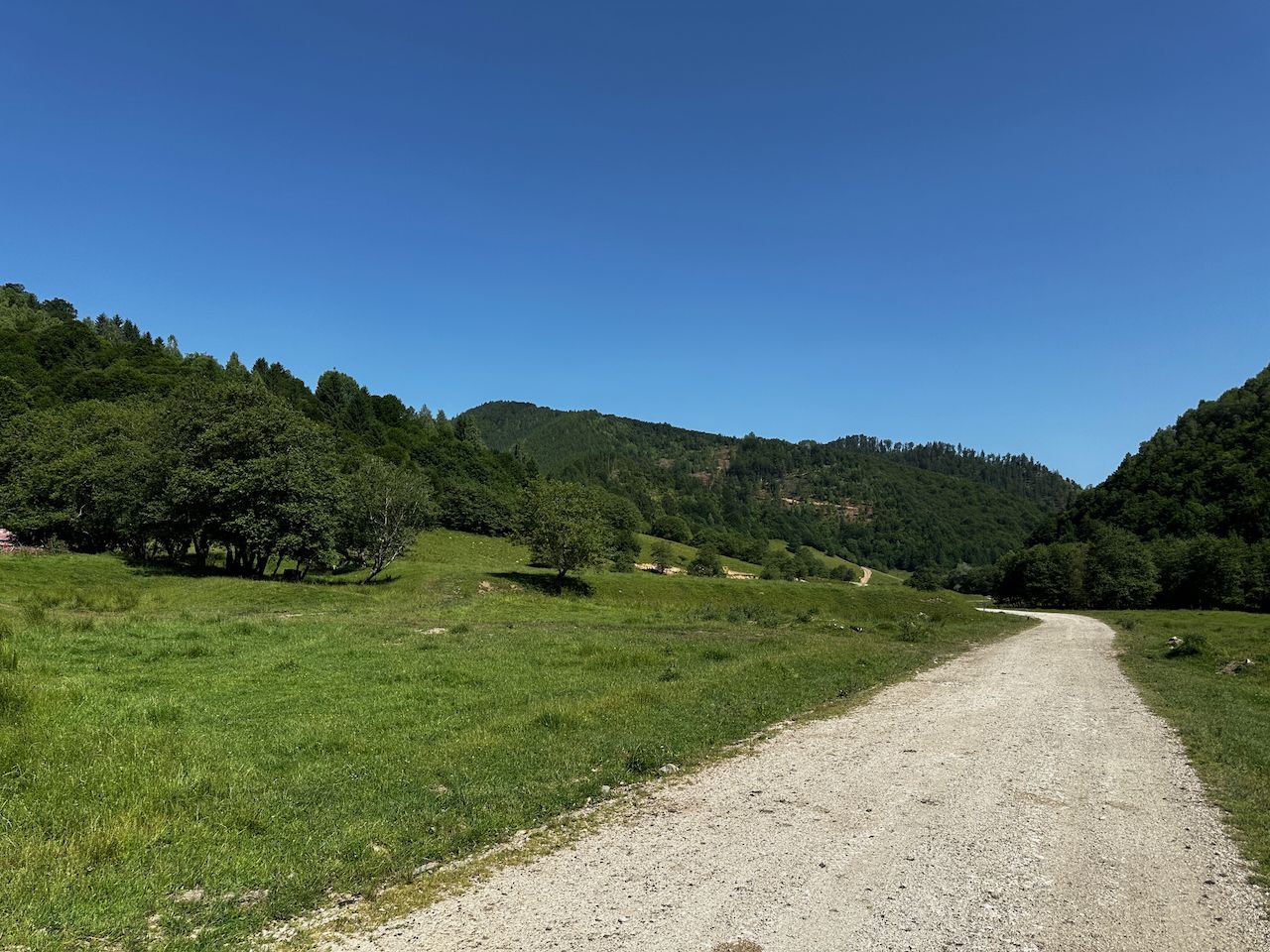 2 Loturi a 2124+2744mp Barsa Fierului / Plaiul Foii - Poză 12