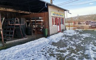 Vanzare hala atelier, stradal, Stalpeni - Poză 14