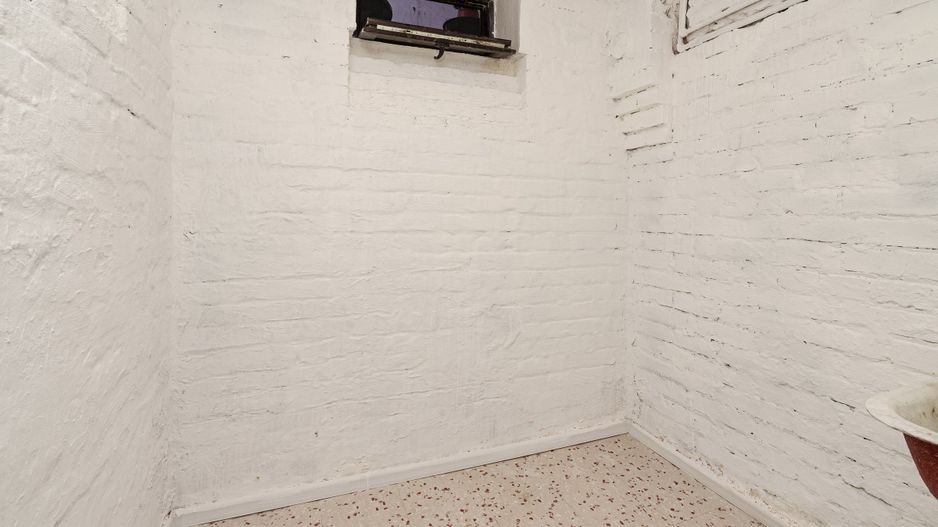 Piata Muncii - Decebal, casa 87 mp totali, 179 mp curte libera, - Poză 32