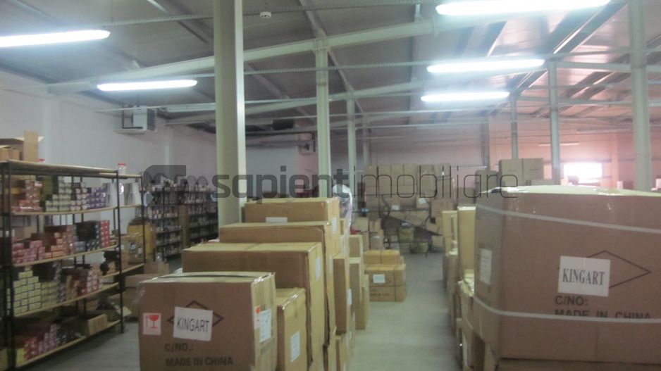 Sapient | Hală Industrială – loc. Borș, jud. Bihor - Poză 4