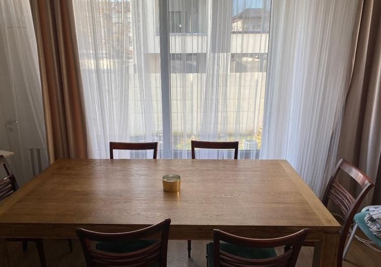 3 camere cu curte 100 mp | Aviației – Băneasa | Parter în vilă - Poză 2