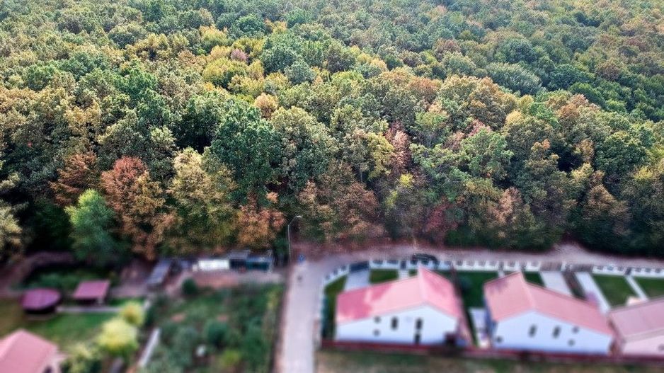 Ocazie!! Vanzare teren - padure, toate utilitatile, Balotesti - Poză 6