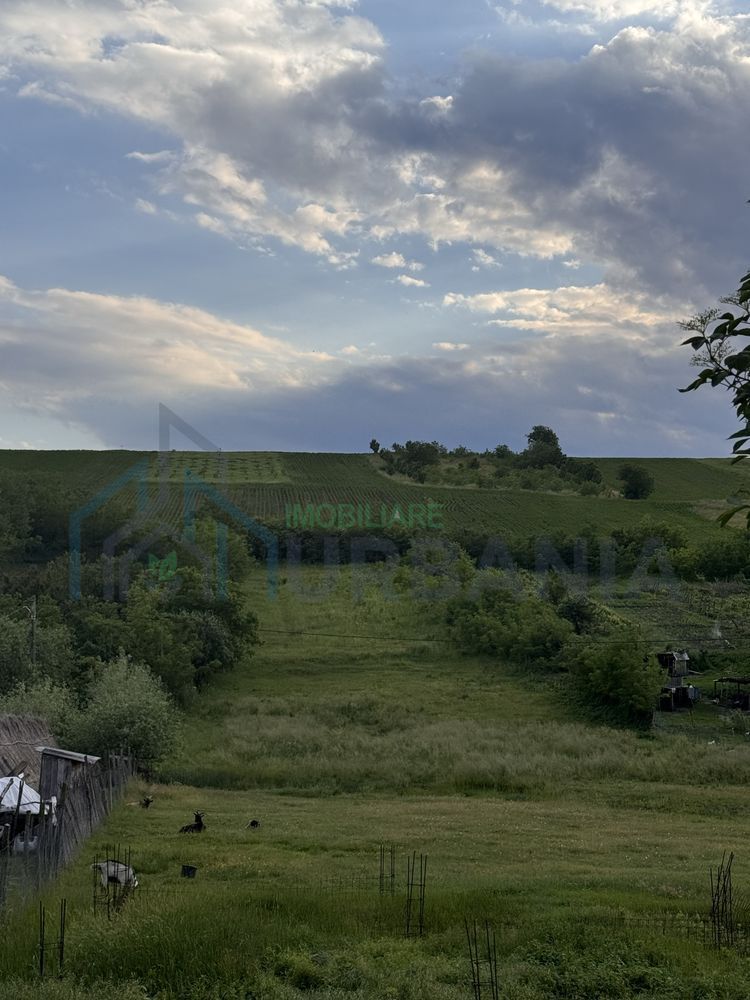 Teren intravilan de 6000 mp in Coarnele Caprei, Valea Babei, cu iesire la strada principala - Poză 1