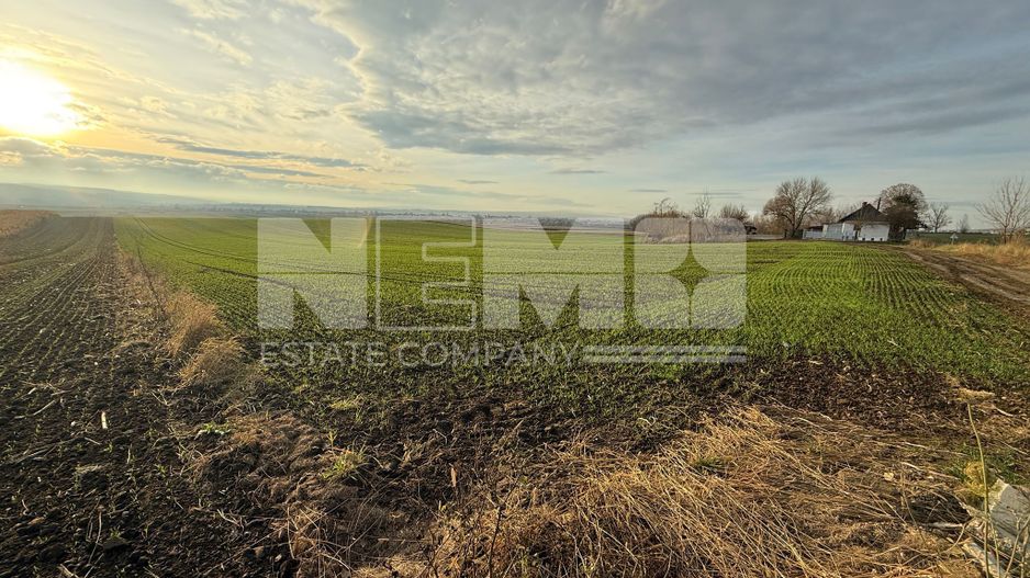 TEREN EXTRAVILAN | E85 | 126.000EURO NEGOCIABIL | - Poză 6