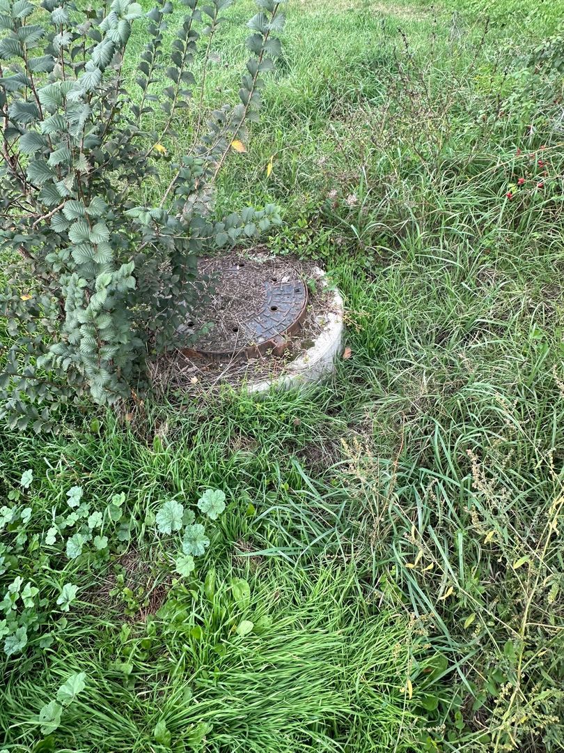 6300 mp teren Pasarea cu deschidere la lac - Poză 13