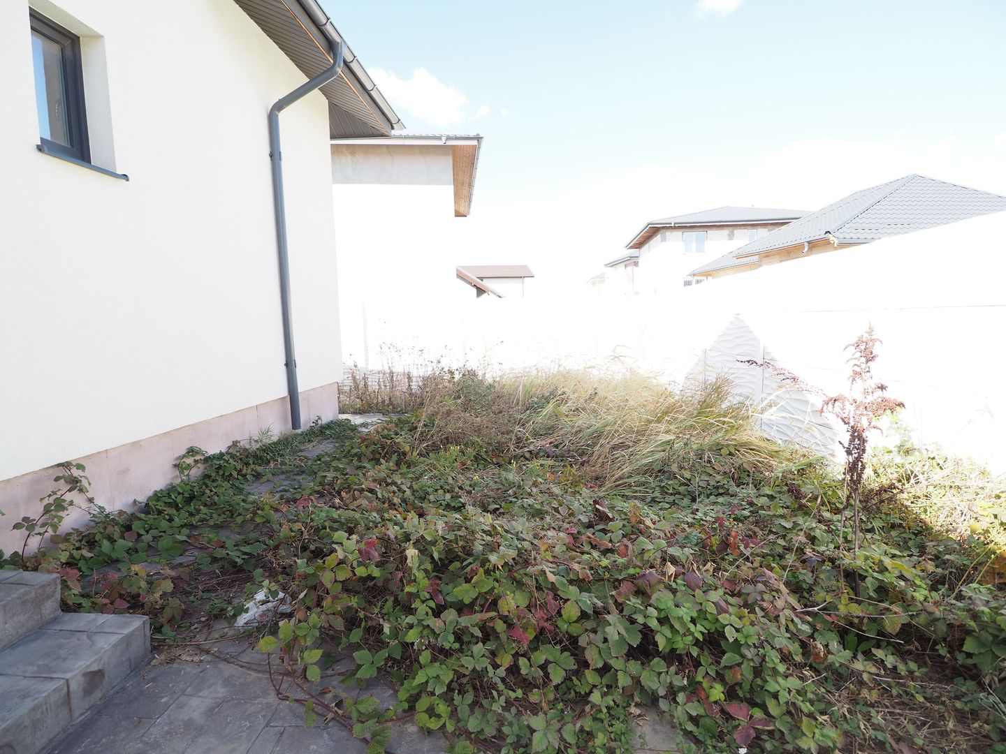 Vanzare casa 3 camere-teren312mp-Buftea - Poză 14