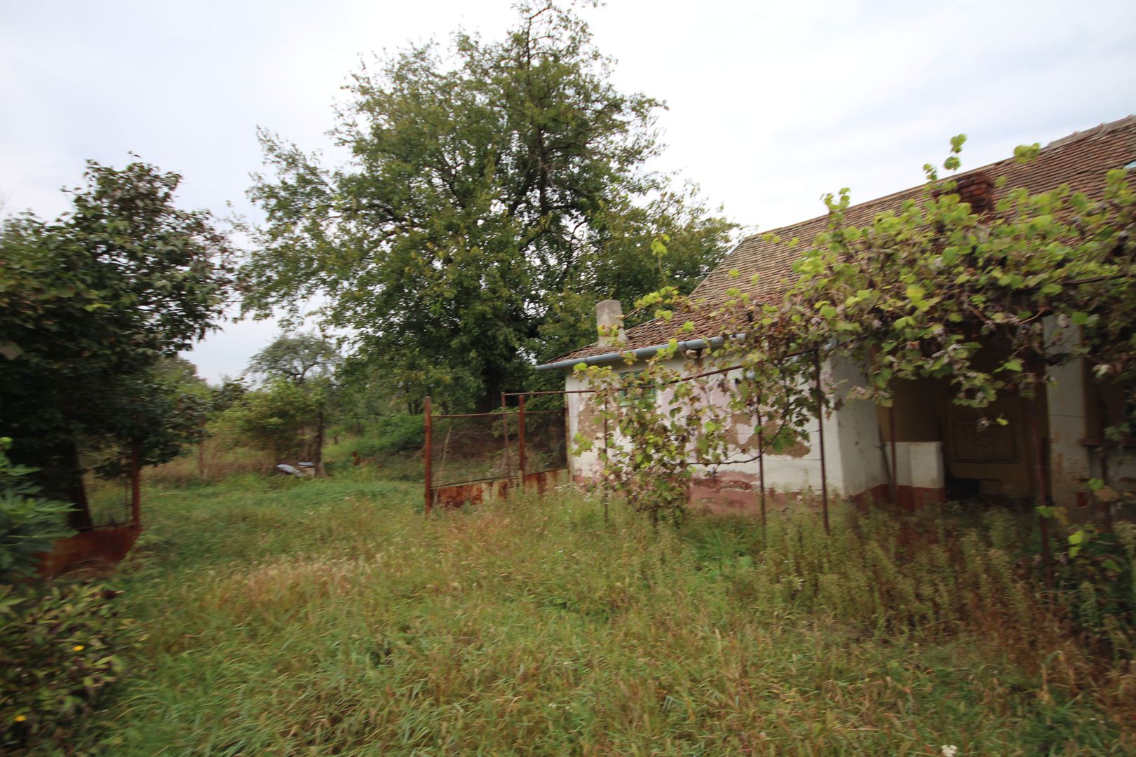 Teren de vânzare - 1900 mp Dumbravita - Poză 6