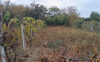 Casă spațioasă cu 4 camere , curte și teren generos în Mașloc - Poză 29