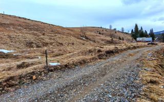 8.263 mp Teren cu Pârâu și Izvoare în Beliș-Fântânele, Cluj - Poză 8