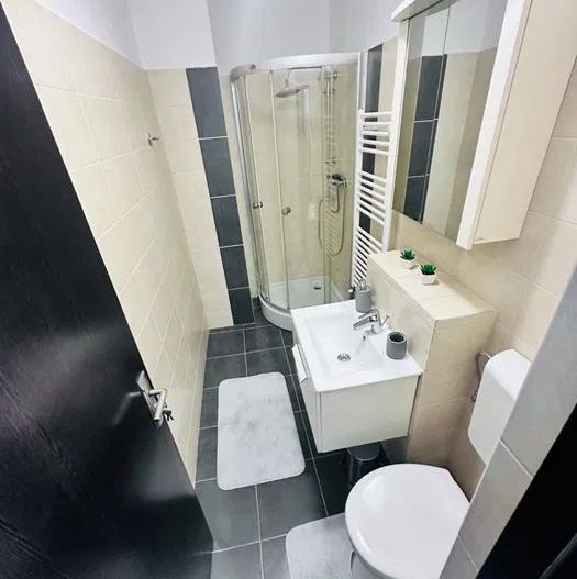 Studio modern de inchirat, Timpuri Noi - Poză 5