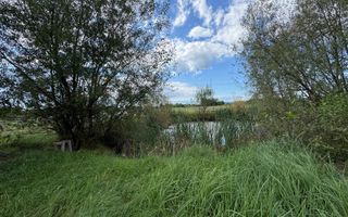 Casa spatioasa cu zona amenajata pentru ferma Cicarlau - Poză 4