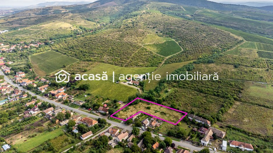 Teren de vis în Ghioroc! Stațiunea supranumită ”Litoralul Vestului” - Poză 3