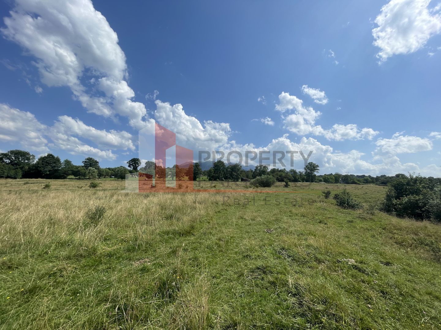 Teren de vanzare in  Tohanu Nou-Sohodol 6200 mp - Poză 9