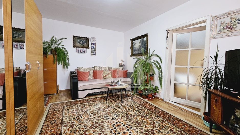Apartament cu 2 camere de vanzare, Cetate - Poză 2