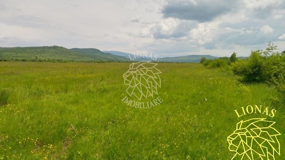 Teren 13100 mp-parcelabil-ideal cabana/agricultura-Orheiul Bistritei - Poză 4