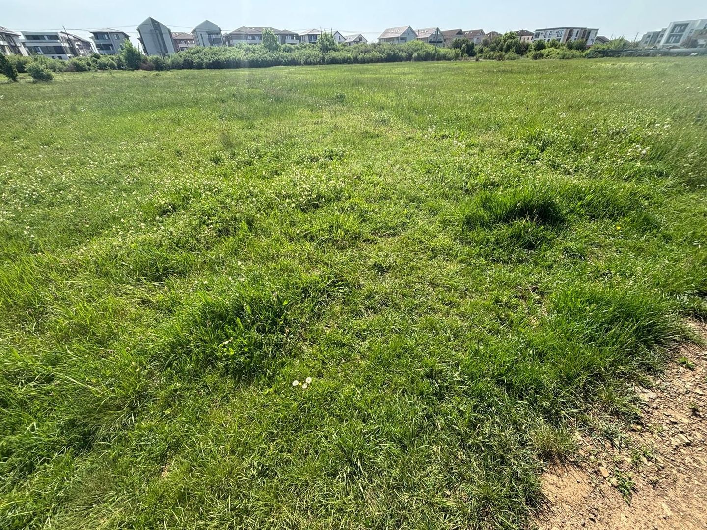 Teren de 721 mp cu Urbanism aprobat pentru duplex - Poză 8