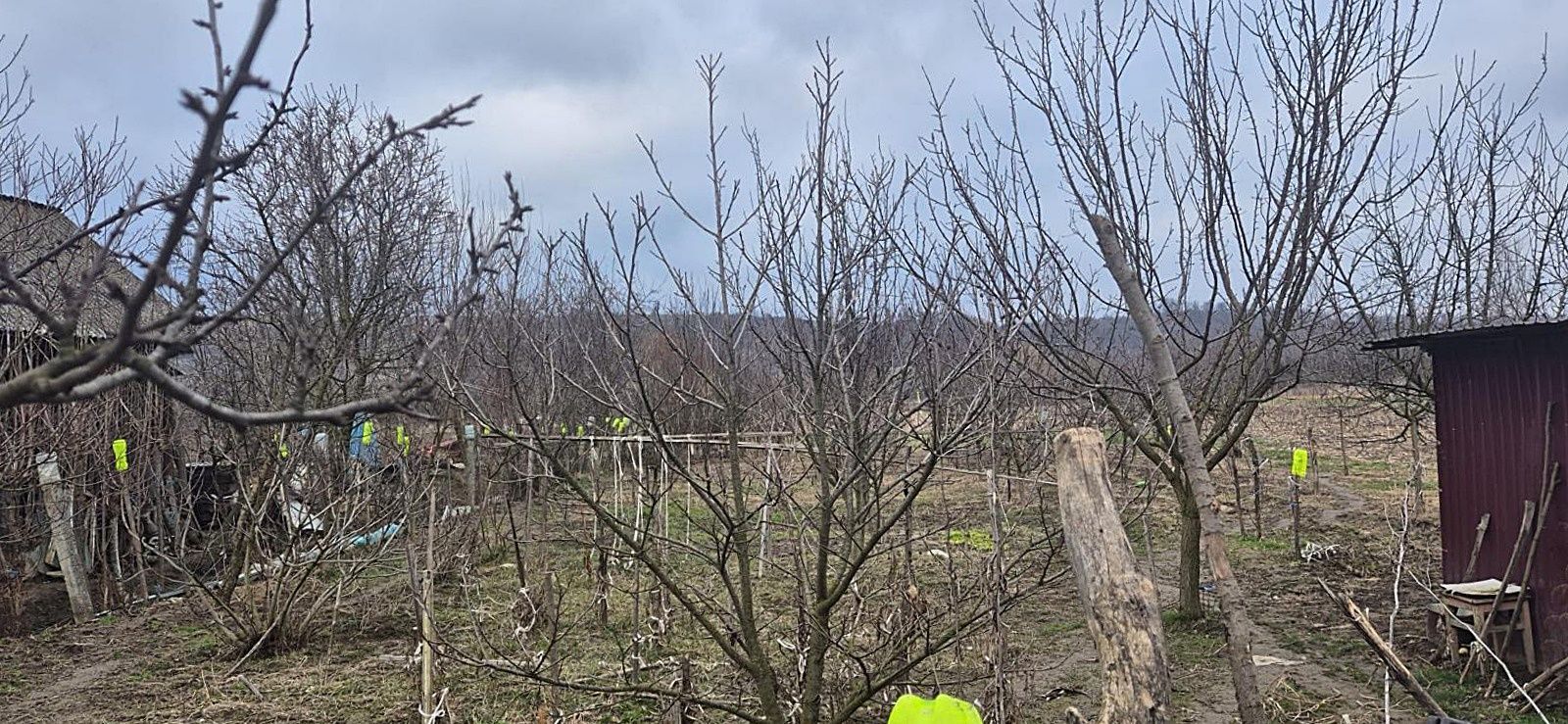Casa cu teren 4000 mp in Bogei, Bihor - Poză 4