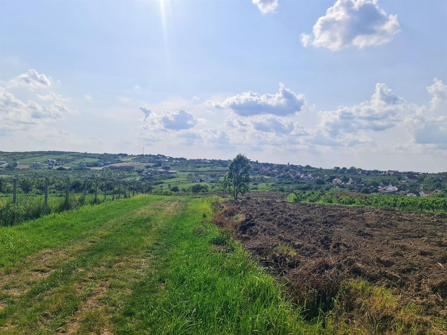 Teren intravilan Saldabagiu de Munte 1100m - Poză 5