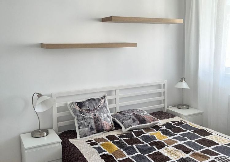 Apartament 2 camere Ion Mihalache - Poză 5