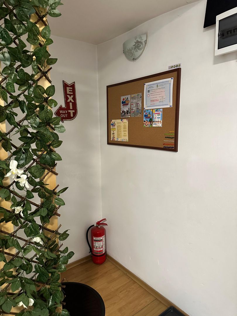 SPATIU COMERCIAL DOMENII, LOC PARCARE, CENTRALA, MOBILAT/UTILAT, CURTE - Poză 7