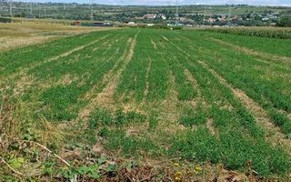 Teren 500 MP | Oportunitate de investiție | Extravilan | Mohu - Poză 1