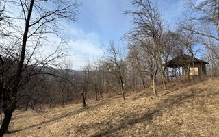 Teren intravilan 2788 mp deschidere 55 ml cu vedere panoramica ! - Poză 16