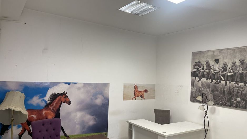 BRASADAS vinde Apt / Sp comercial + curte, zona Titulescu. - Poză 13