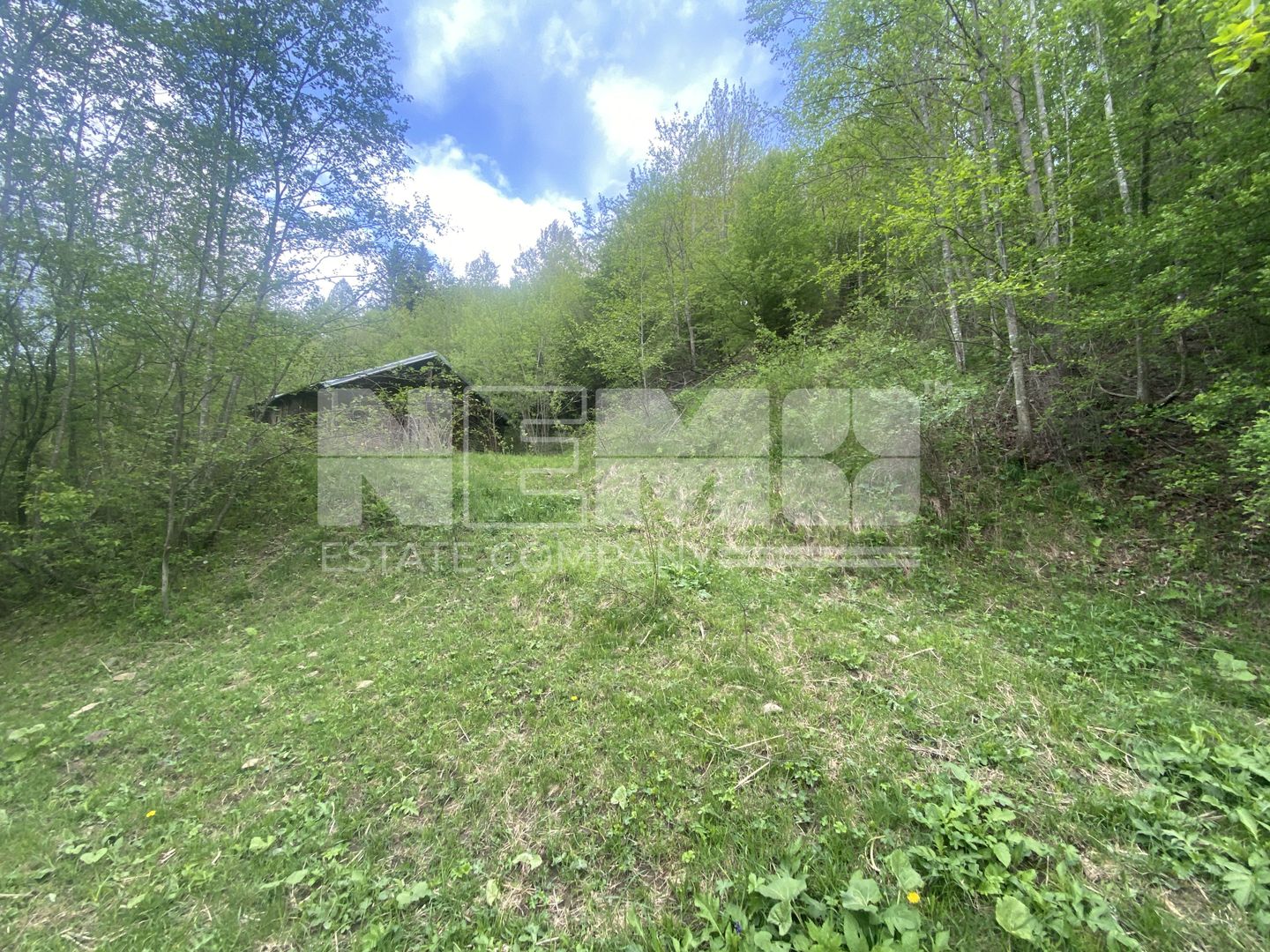 Teren Intravilan | Câmpulung Moldovenesc | 31ARI - Poză 2