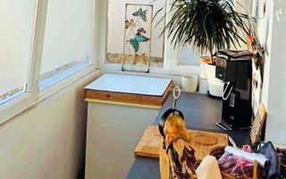 3 camere | HERASTRAU | BANEASA - Poză 5