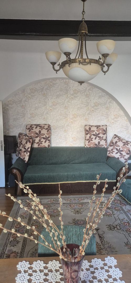 4 camere într-o vilă elegantă, retrasă și liniștită – zona Vasile Lascăr - Poză 2