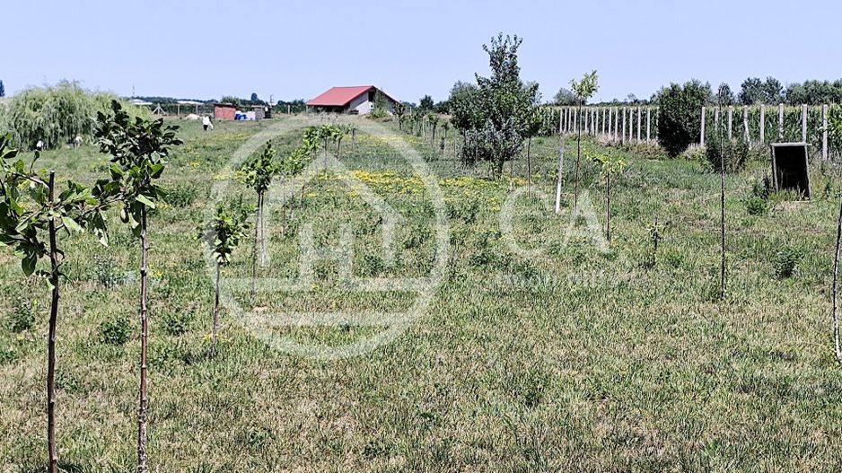 De vanzare BALTA DE PESCUIT, 3,80 ha, cabana din busteni, langa Vama Bors, Bihor - Poză 24