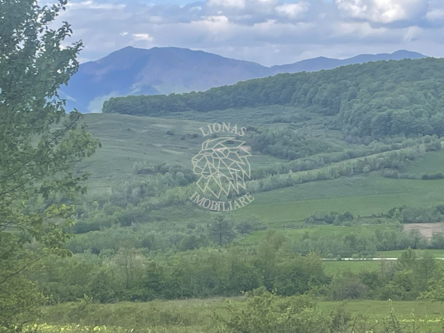 Teren 22700 mp-parcelabil-ideal casa de vacanta-panoramic-Cusma - Poză 5