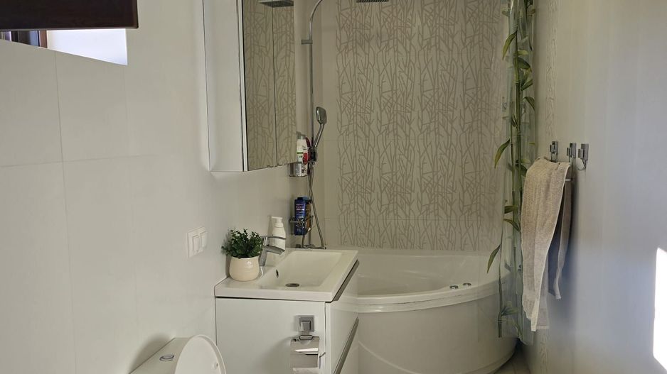 Casa Constructie Noua Les + Teren 4900 MP - Poză 7