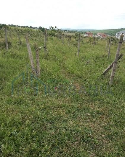 Teren de vânzare în zona Vișan, Iași - Poză 3