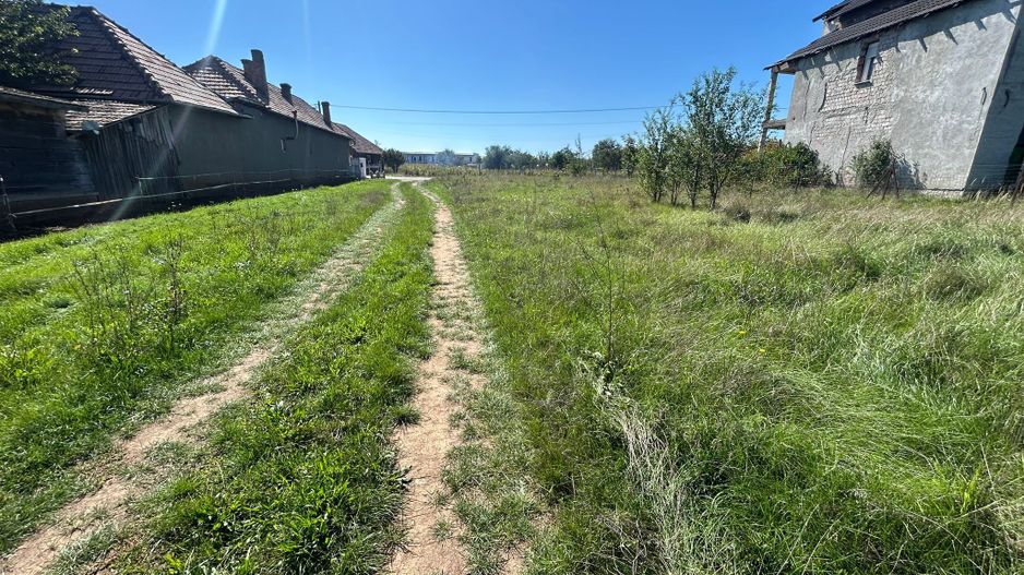 Teren intravilan, 5700mp - Teius - Poză 1