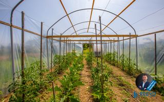 Casǎ de vânzare 200 mp în Letea Veche - Poză 33