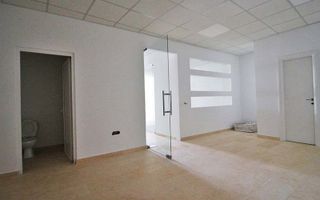 Cladire birouri inchiriata complet, zona Basarab - Titulescu - Poză 12