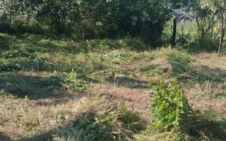 Casă cu teren de 1.470 mp de vânzare – Fântânele, Scânteiești - Poză 7