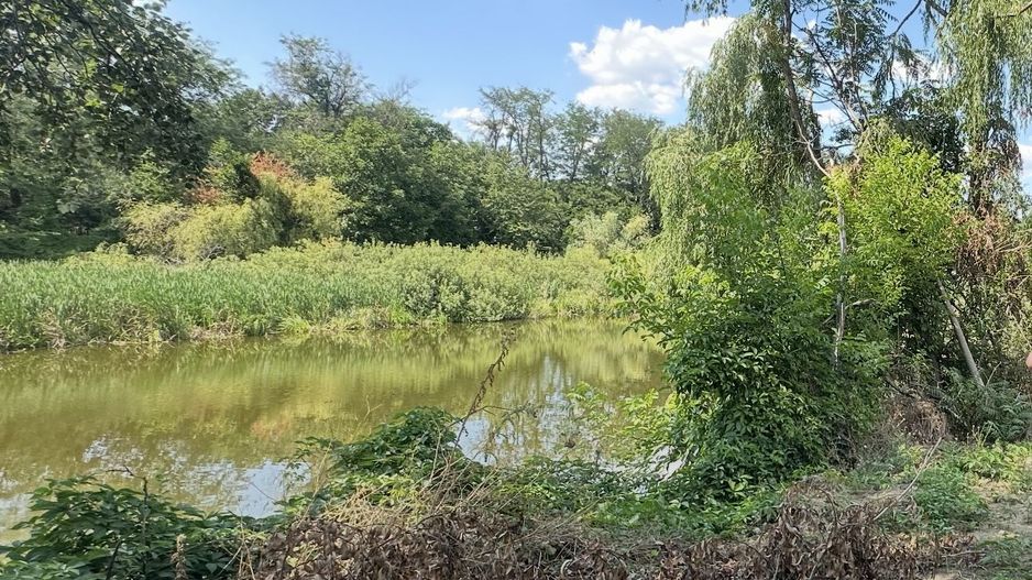 TEREN PIPERA CU DESCHIDERE LA LAC - Poză 3