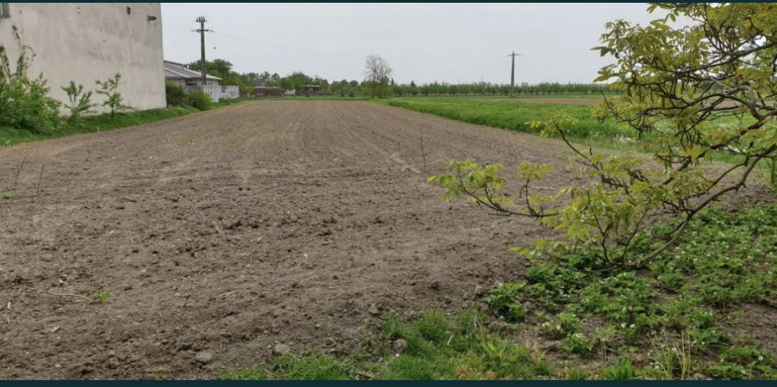 Vand casa cu teren ultracentral in Medisu Aurit - Poză 2