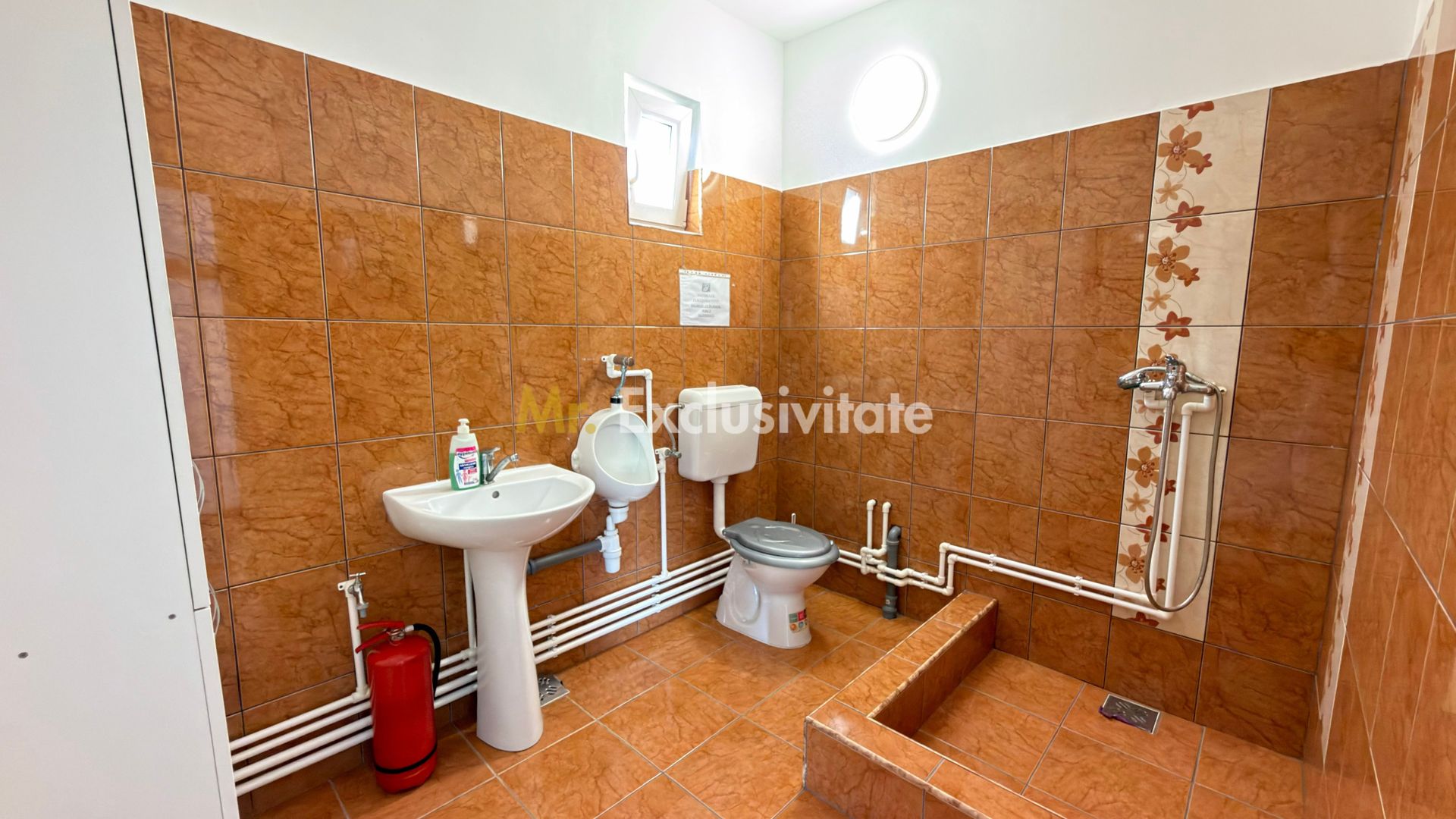 Inchiriere Hală Garaj/ Clădire de birouri-Teren 4000 mp – Carei - Poză 12