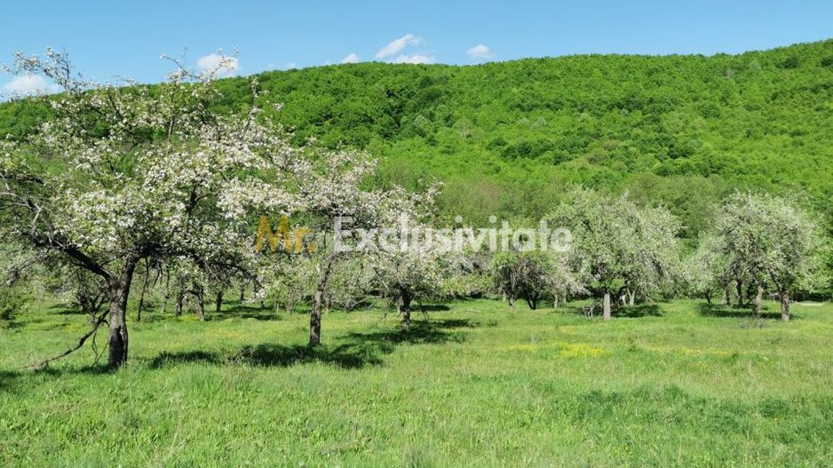 Teren 680mp Budeasa Mica, AG - Poză 4