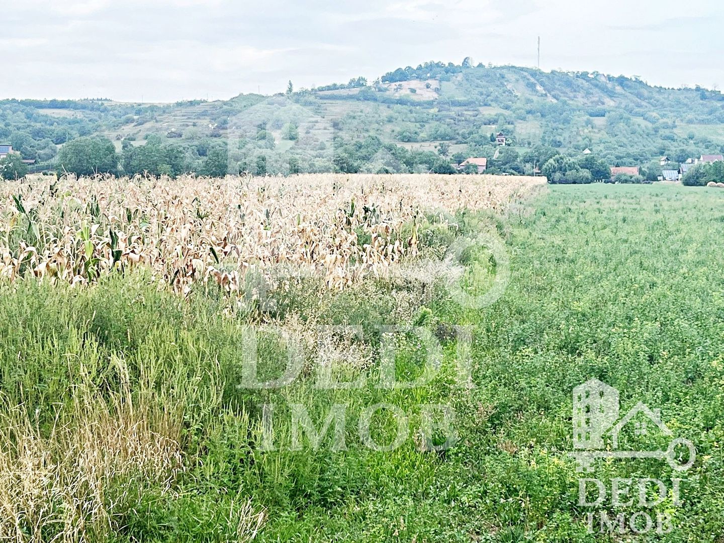 Teren extravilan Lugasu de jos, Bihor - Poză 2
