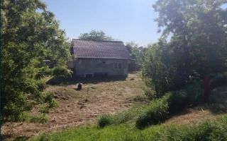 Casă de vânzare pe malul Prutului – Moreni, Iași, teren 960 mp, zonă liniștită - Poză 4