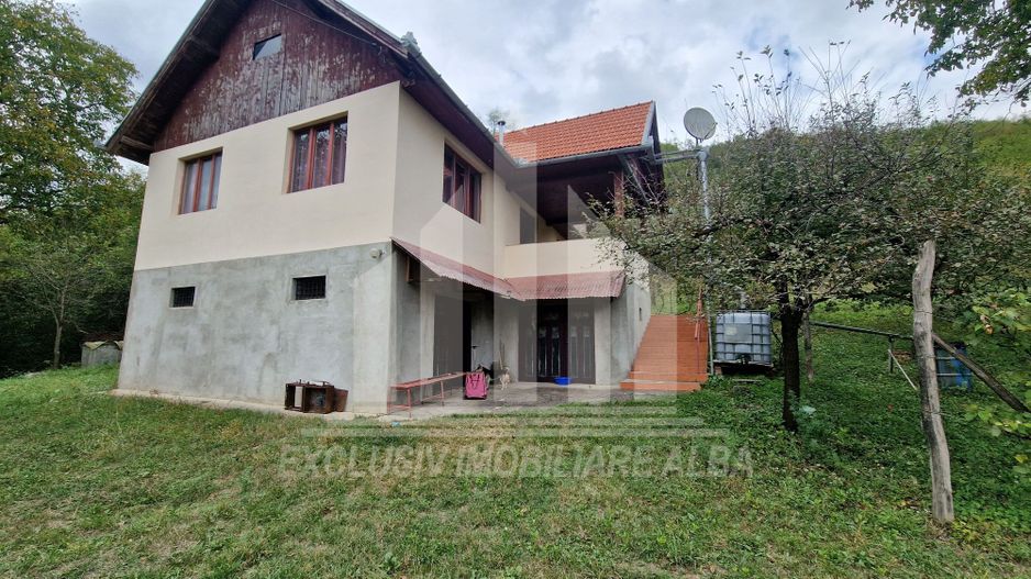 Casa cu livada in Cetea - Poză 24