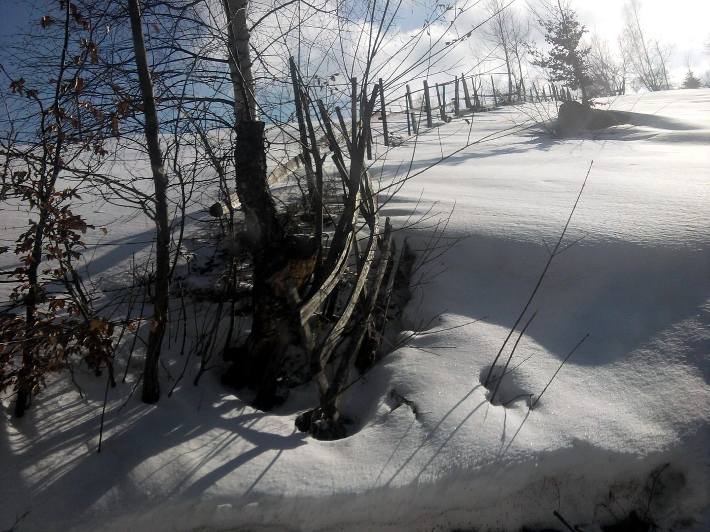 teren intravilan in zona Magura Bran - Poză 5