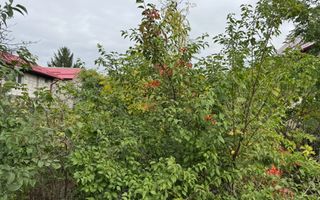Teren intravilan Pipera I Vanzare - Poză 4