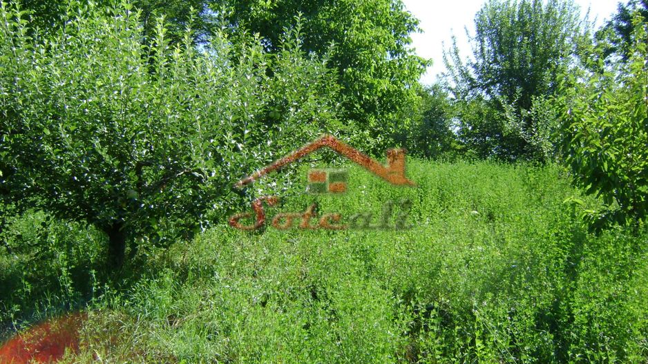 Teren de vânzare în Breaza– zonă liniștită, ideal pentru relaxare - Poză 15