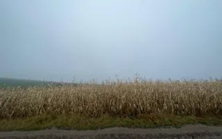 TEREN EXTRAVILAN | DOUA PARCELE 2.84 HA| DARMANESTI - Poză 19